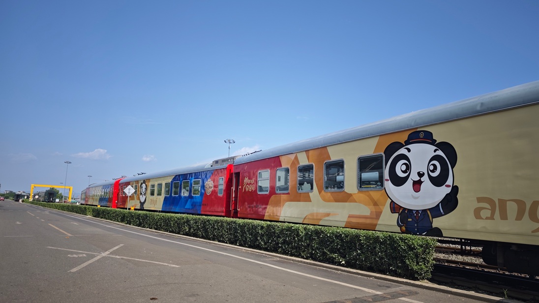 1774850478131210.jpg 1774850478131210.jpg