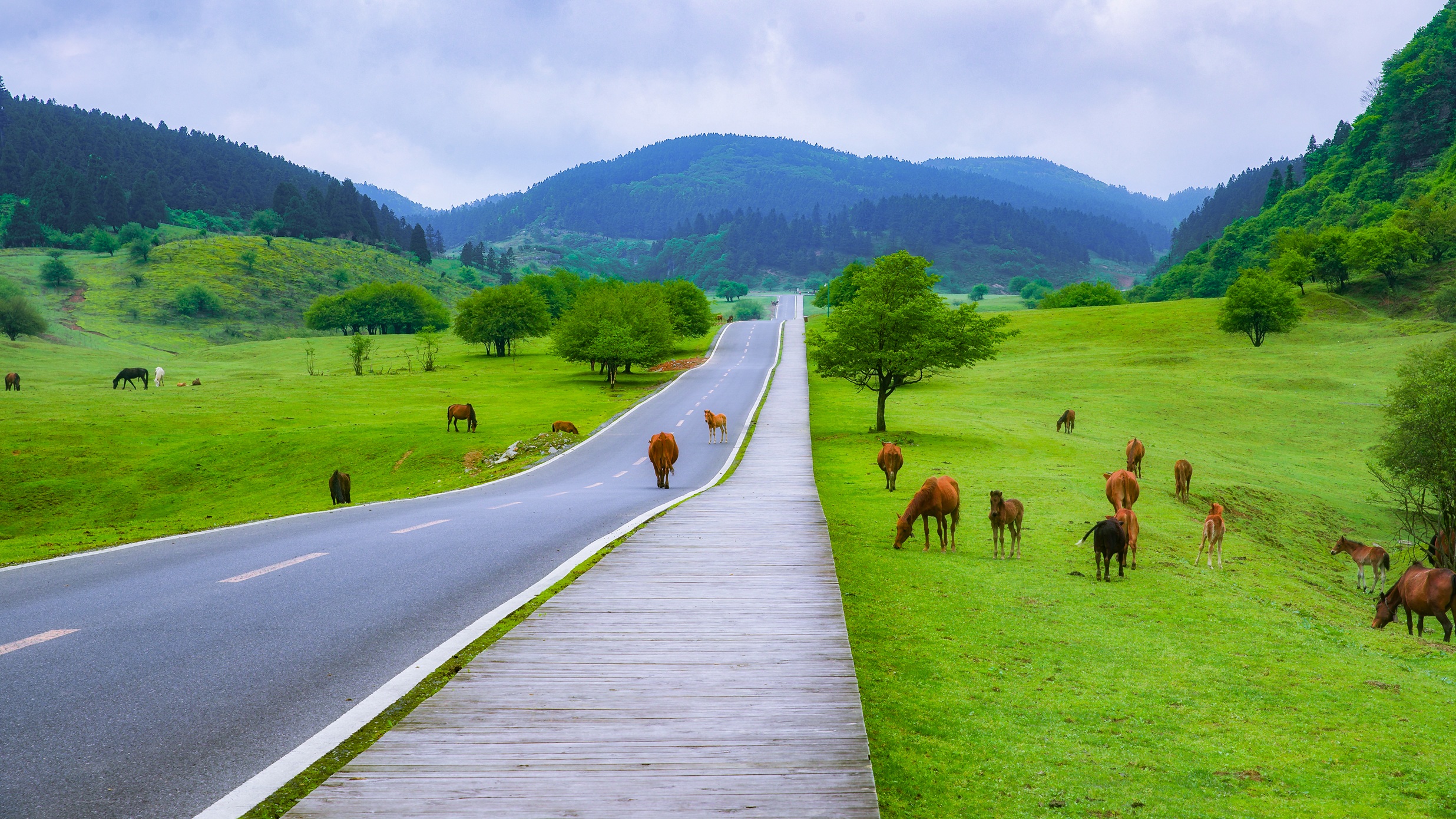 仙女山公路.jpg